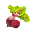 Beet the Odds And Thrive and "Embrace The Beauty Of Nature's Bounty
