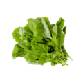 Green Amaranth, a leafy vegetable, with vibrant green leaves.
