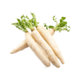 Fresh radishes
