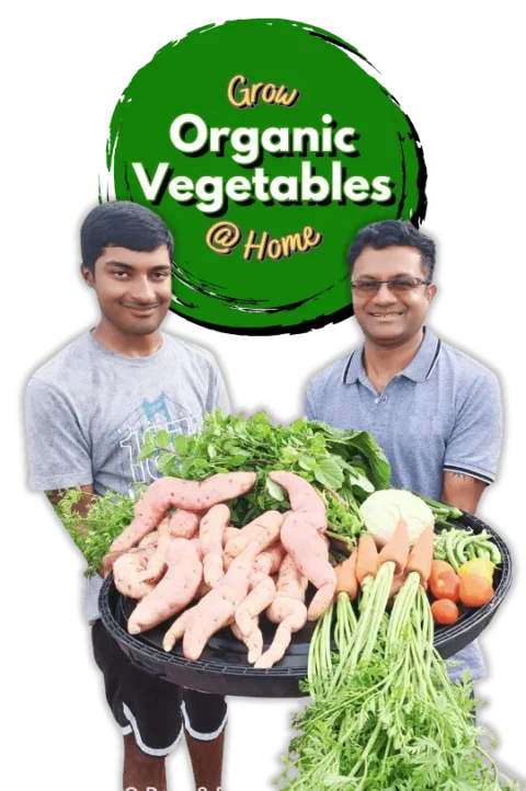 Two men holding radishes in Organic Vegetables Terrace Garden