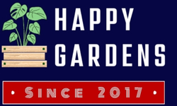 Oraganic Vegetables Tasty & Chemical Free Vegetables on your Roof Top Kitchen Garden