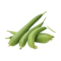 long, green vegetable with a rough, sponge-like surface when mature