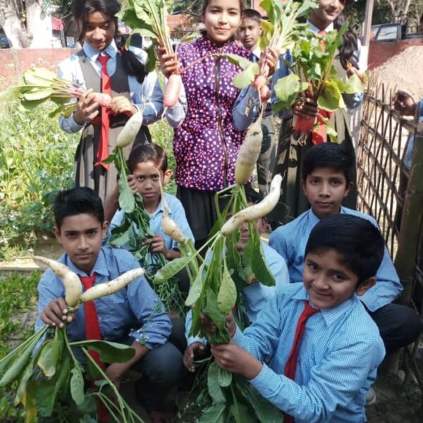 Learning Vegetables in India e1754038732493