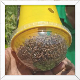 Screenshot 2025 09 29 101957