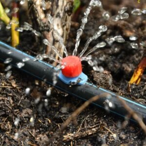 Drip Irrigation System for Terrace Garden | Bangalore