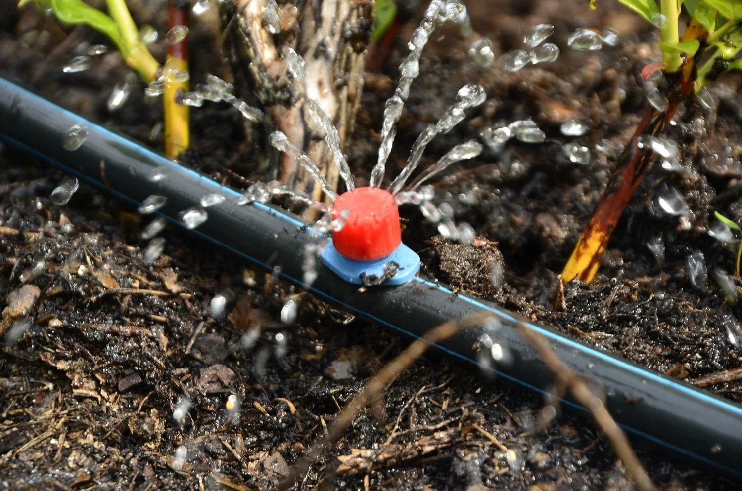 Drip irrigation system for terrace garden | bangalore 1 Drip irrigation system for terrace garden | bangalore