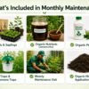 Terrace garden maintenance