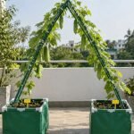 Home 23 Creeper net for terrace gardening