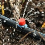 Home 24 Drip irrigation system for rooftop gardens