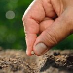 Home 30 Gardening services in bangalore