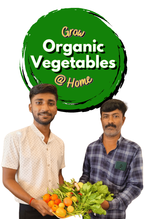 Home 14 Grow organic vegetable