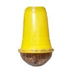 Home 29 Pest traps