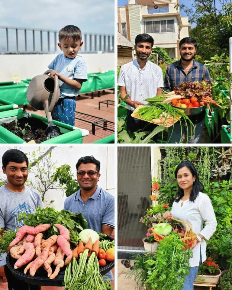 Home 3 Happy gardens customer garden harvest