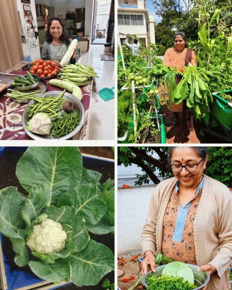 Home 2 Happy gardens homegrown vegetable customers