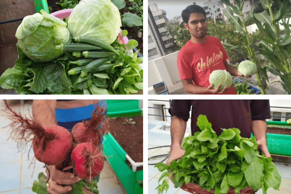 Home 6 Roof top kitchen garden