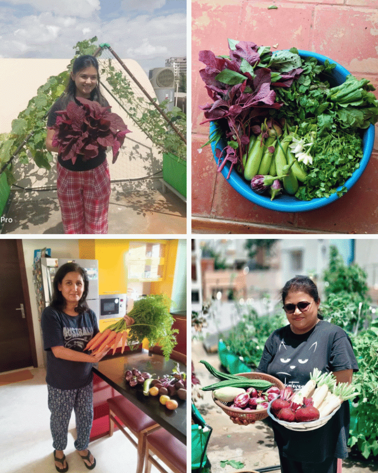 Home 14 Rooftop vegetable garden