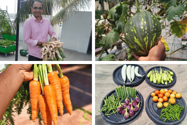 Home 9 Terrace garden setup bangalore