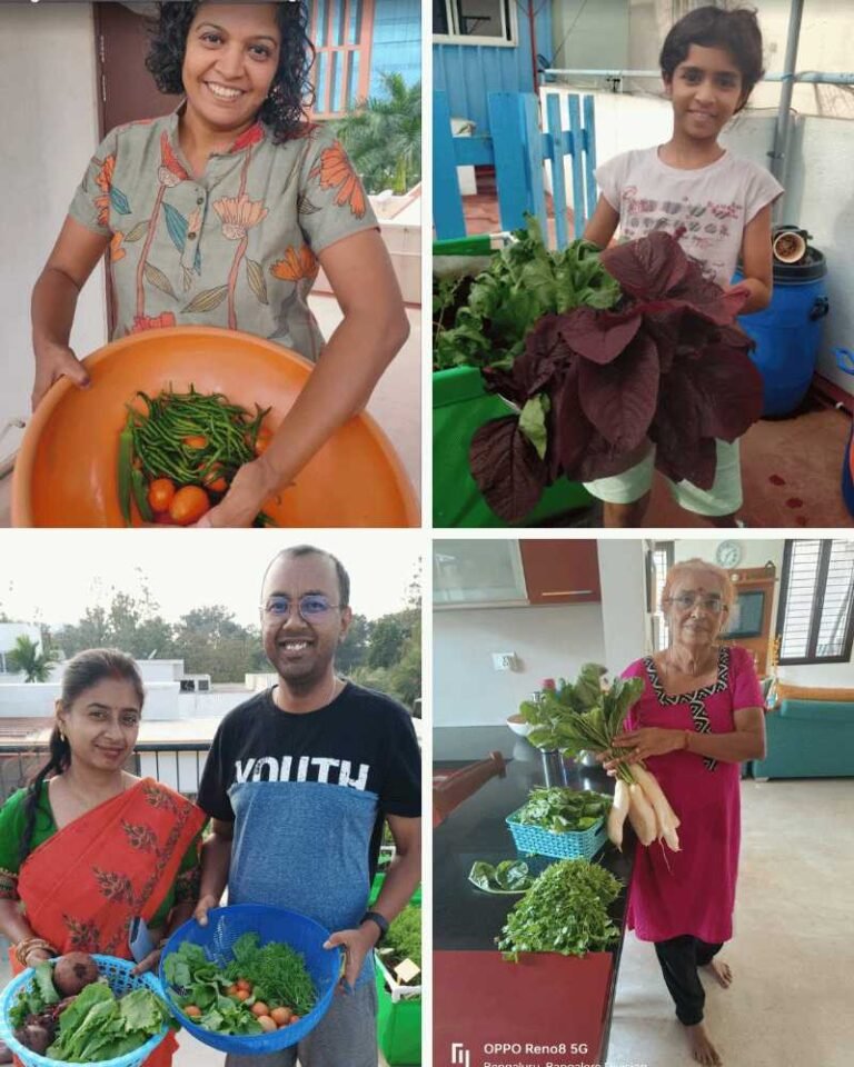 Home 10 Terrace vegetable gardening